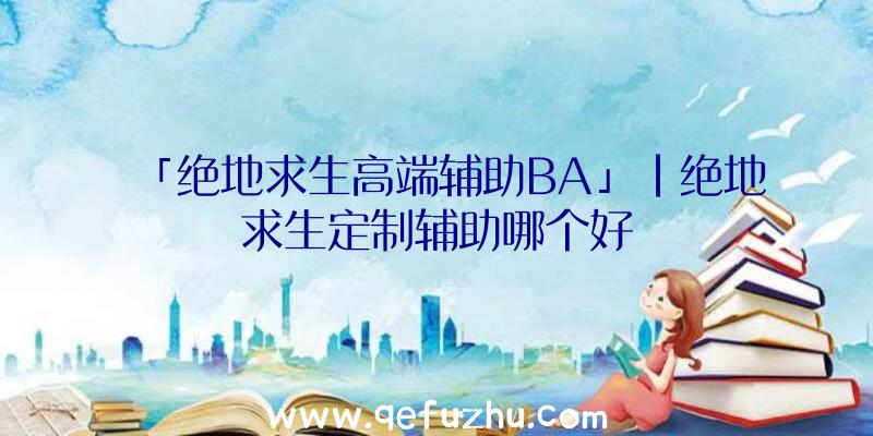 「绝地求生高端辅助BA」|绝地求生定制辅助哪个好